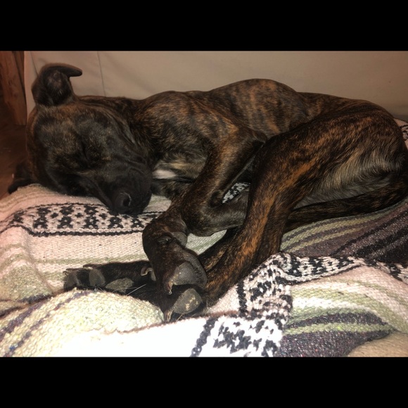 Meet Your Posher! - Picture 9 of 9